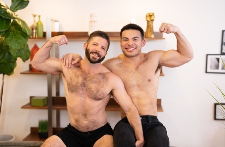 homoseksuel bøsse orgie høj kvalitet erotisk gallerier