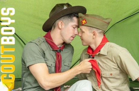 homoseksuel bjørn ansigtsbehandling øverste hd Foto