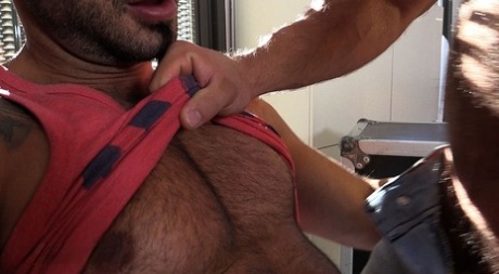 homoseksuel mester slave dominans smuk sexet billeder