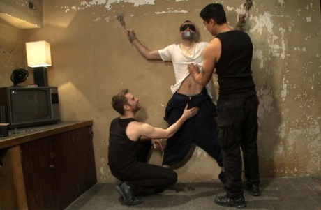 homoseksuel bdsm hd nøgen bedst arkiv