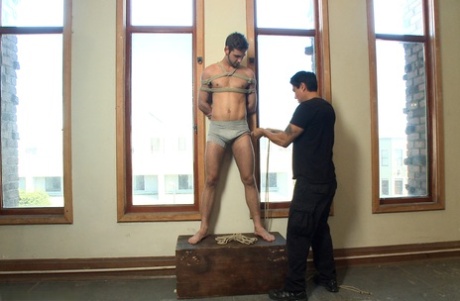 buttet homoseksuel hardcore pornografisk kunst kollektion