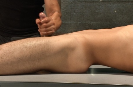slave bdsm bøsse smuk voksen billede