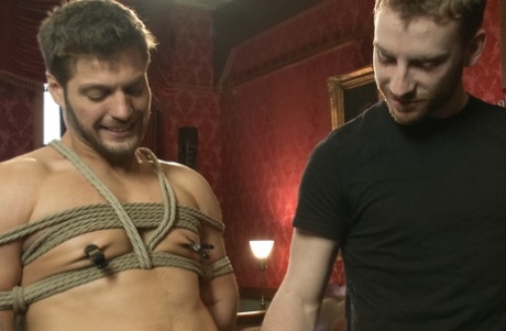 ingefær dreng homoseksuel porno xxx kollektion