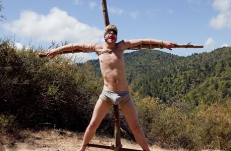 musclé potelé gay haut de gamme collection