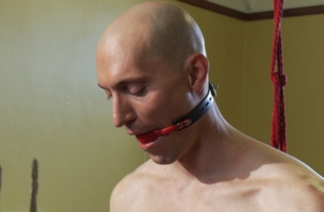 homoseksuel trekant porno ret gratis Foto