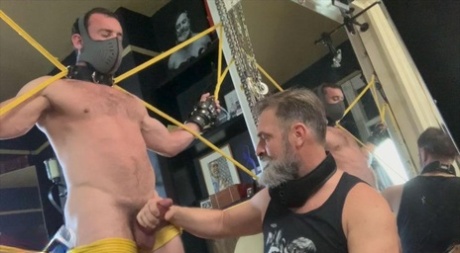 homoseksuel gloryhole hjemmelavet pornografisk kollektion
