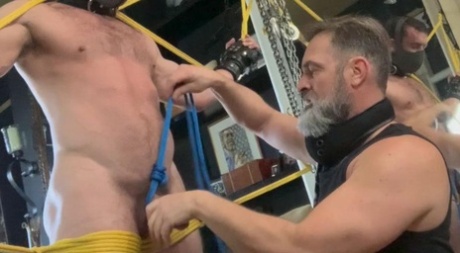 hd arabisk homoseksuel gratis voksen Foto