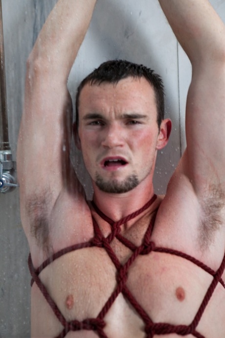 akademik gejowski porno ekskluzywna sztuka galerie