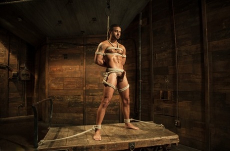 stor sort pik homoseksuel anal voksen hd galleri