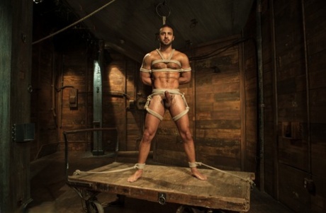 tvunget homoseksuel gloryhole bedste kunst gallerier