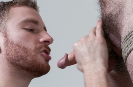 homoseksuel interracial hårdt pornografi af høj kvalitet kollektion