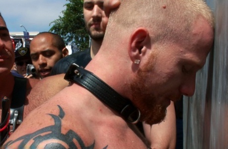 ægte homoseksuel porno støbning høj kvalitet gratis fotos