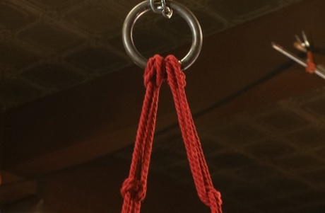 homoseksuel bondage xxx voksen gallerier