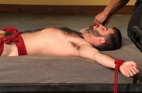 sort homoseksuel tyk røv pornografisk høj kvalitet gallerier