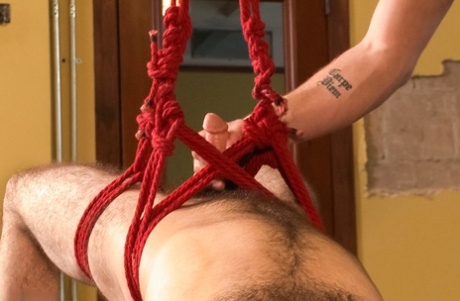 hardcore gay tamoul meilleur gratuit image