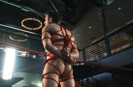 homoseksuel hård sex i høj kvalitet perfekt porno Foto