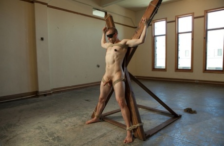 modne fede homoseksuelle mænd erotisk sex pic