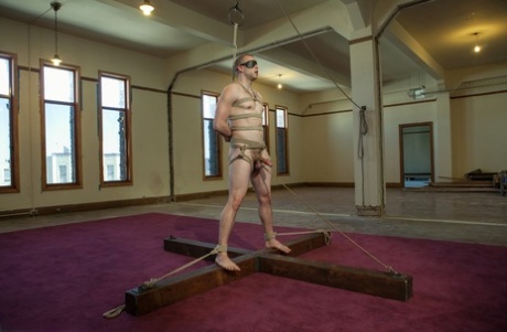 homoseksuel dildo tortur porno ret sexet img