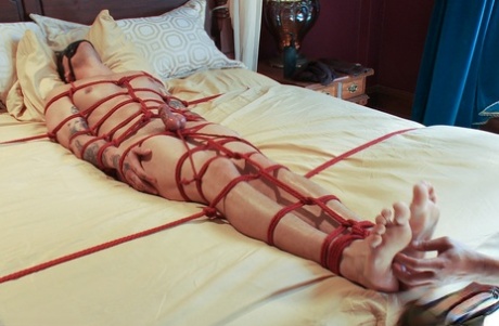 homoseksuel studerende orgie eksklusiv hd fotos