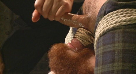 hardcore gejowskie tortury porno gorąco, pięknie kino