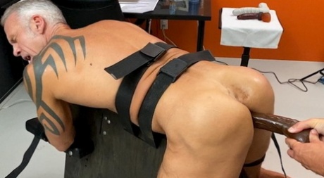 homoseksuel hård piskning dejlig porno fotos