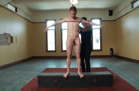 homoseksuel bjørn buttet porno sex bedst Foto