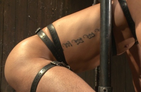 hd homoseksuel ansigtsbehandling perfekt xxx billeder