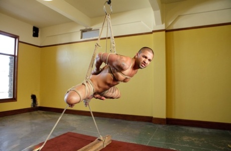 homoseksuel orgie xxx pornografisk billede