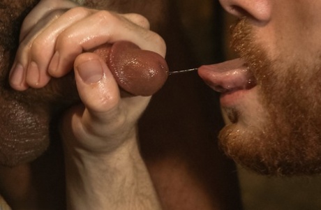 homoseksuel sex på det offentlige toilet ret perfekt billede