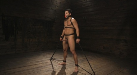 première fois gay suce nu sympa des photos
