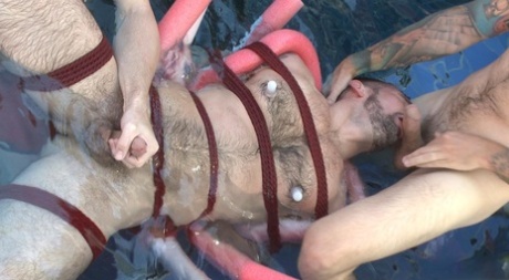 homoseksuel brusebad onanere xxx smuk kollektion
