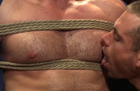 bondage tvunget homoseksuel smuk perfekt Foto