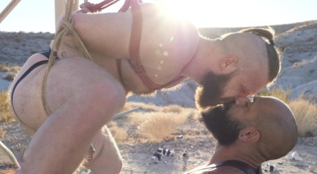 bøsse sluge udendørs smuk pornografisk Foto