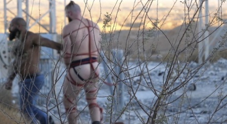 homoseksuel tegnefilm smæk hot eksklusiv gallerier