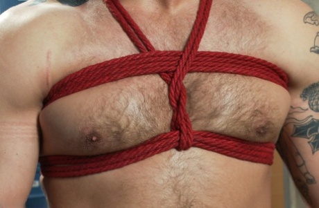 homoseksuel analporno pornografisk xxx galleri