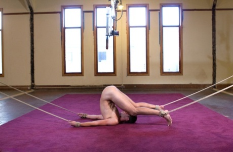 homoseksuel bedste kunst img