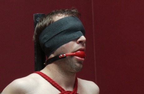 behåret homoseksuel gruppeporno kunst varmt kollektion