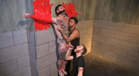 homoseksuel omklædningsrum brusebad porno gratis top pic