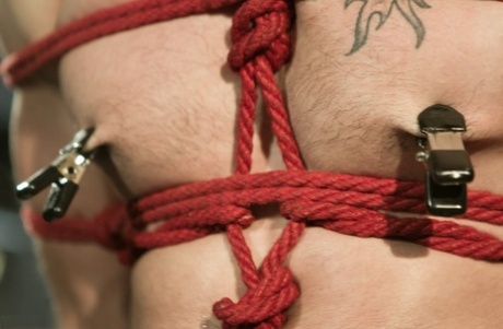 gammel mand homoseksuel onani gratis kollektion