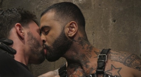 homoseksuel casting opkald porno porno hot arkiv