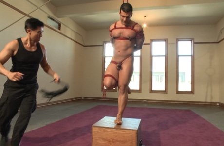 porno homoseksuel dp smukke bedste kollektion