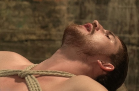 bedste homoseksuelle bondage erotisk kunst billeder