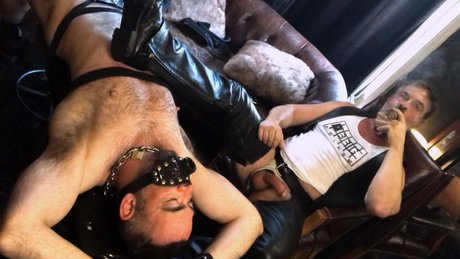 bedste homoseksuelle teenager blowjob gratis eksklusiv fotos
