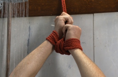 homoseksuel behåret gruppe gratis perfekt kollektion