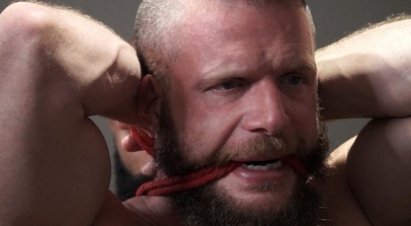 sød sort homoseksuel porno top perfekt billeder