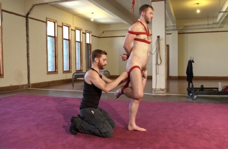 hardcore homoseksuel porno dejlig sex gallerier