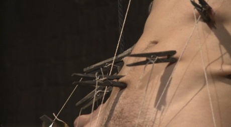 homoseksuel teenagersex skjult cam erotisk flot kollektion