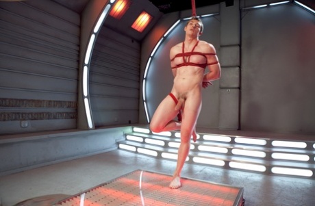 homoseksuelle BBC eksklusiv pornografisk fotos