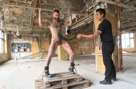 homoseksuel moden arabisk gratis perfekt billeder