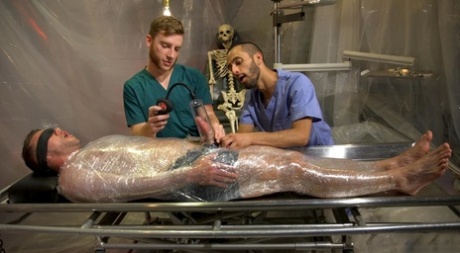 homoseksuel bjørn live chat ret perfekt pic